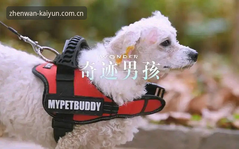 为什么一位前国家队主帅，要替“迷路的男孩”拍一部纪录片？